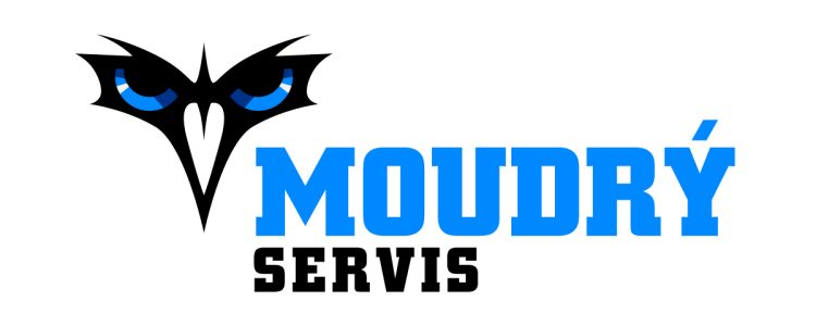 Moudrý servis